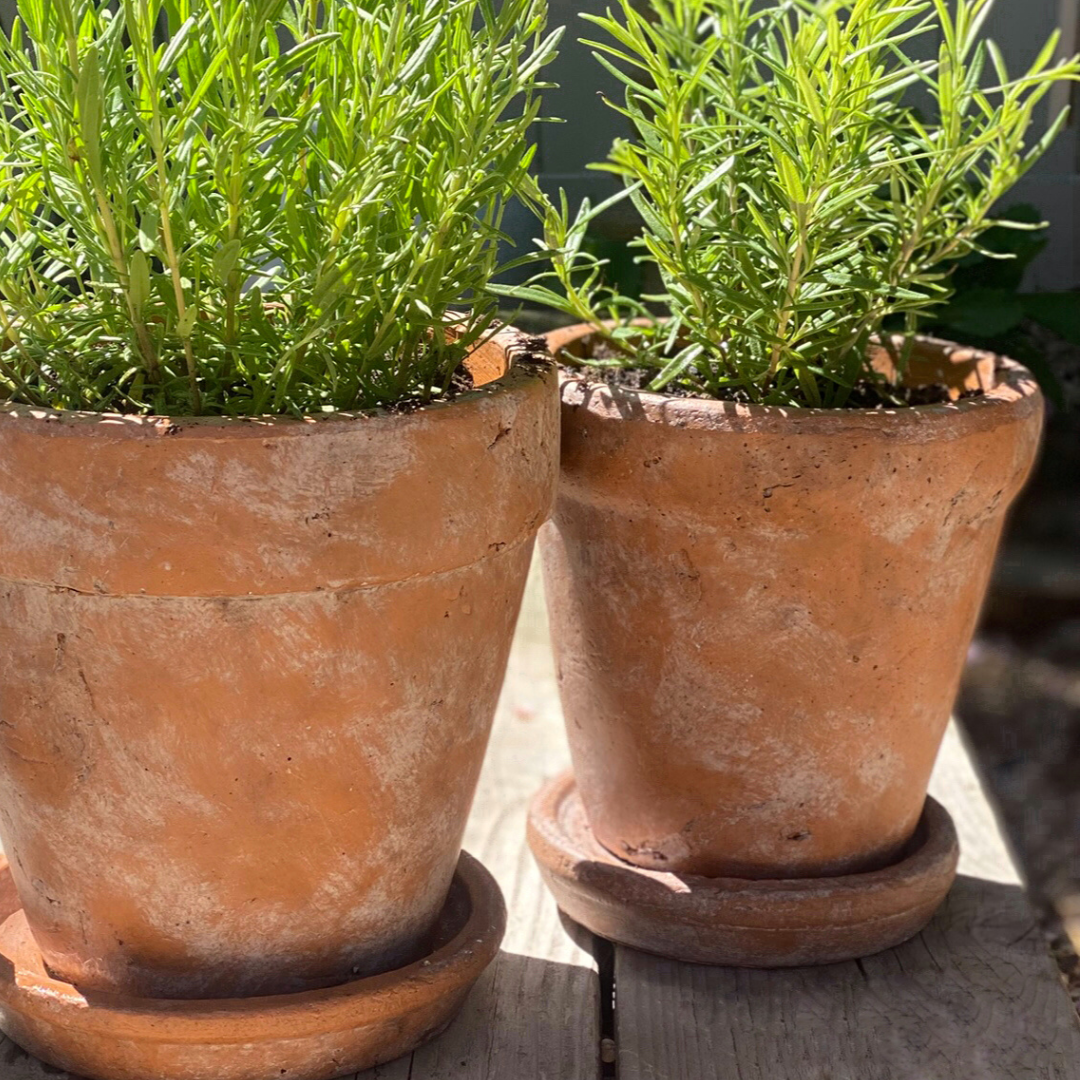 Venice Cement Planter with Dish and Drainage Hole, Handcrafted in Aged Terracotta, Medium & Large