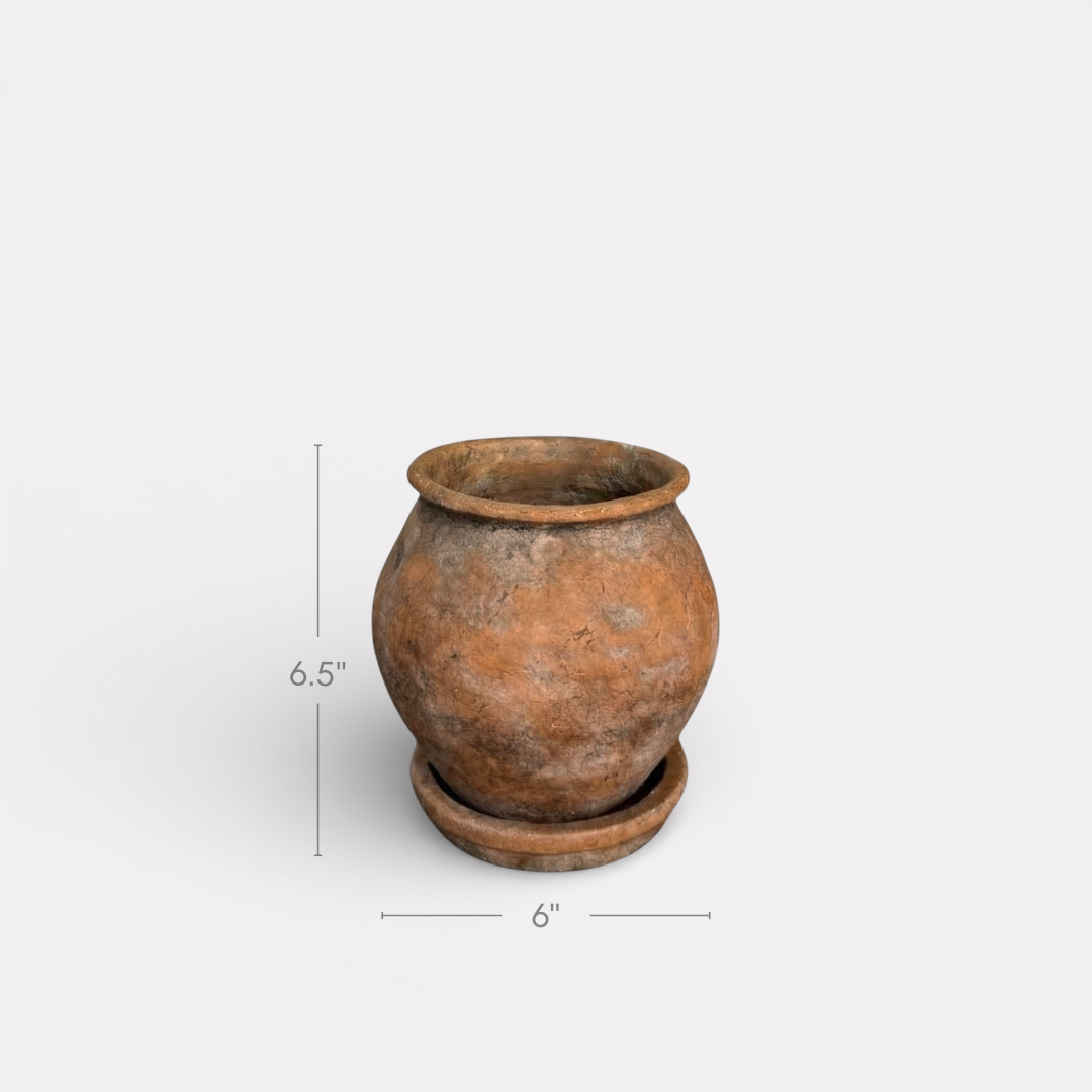 Odyssey Planter with Dish and Drainage Hole, Cement Pot, 6"D x 6.5"H