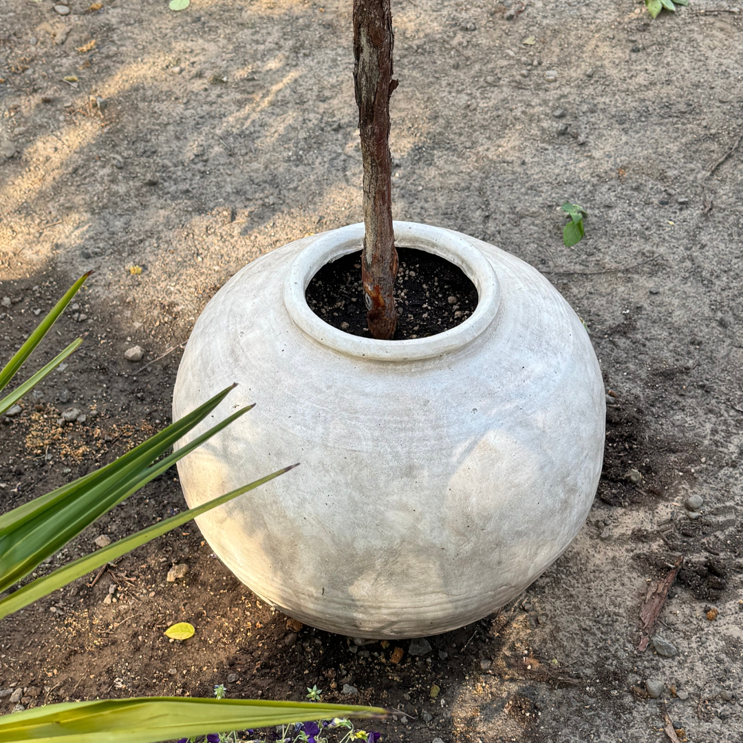 Greystone Fiber Clay Vessel in Aged White, 18.5"D x 14.4" H