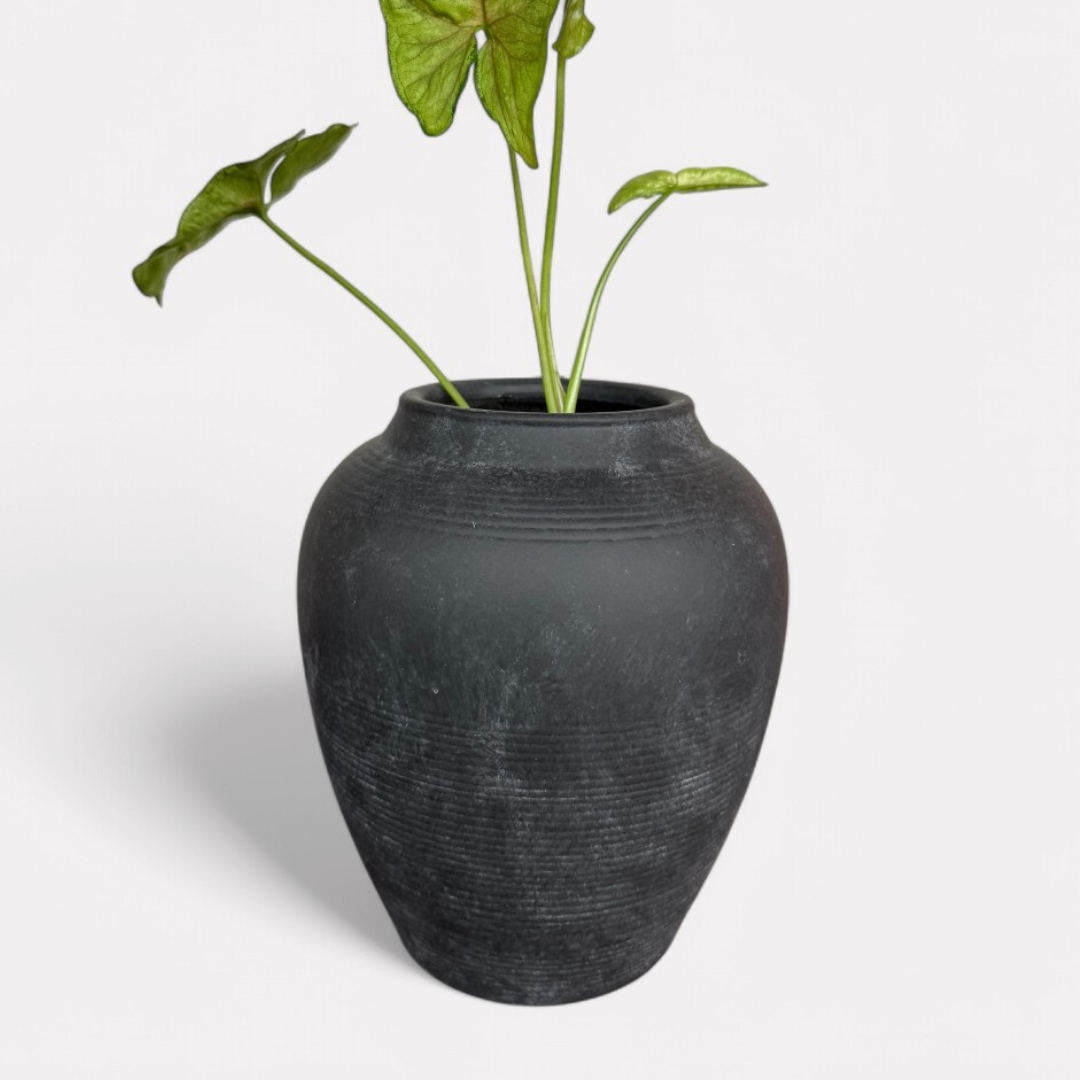 Heritage Classic Terracotta Vessel - Hand-Painted in Weathered Black, 7.8"D x 9.4"H