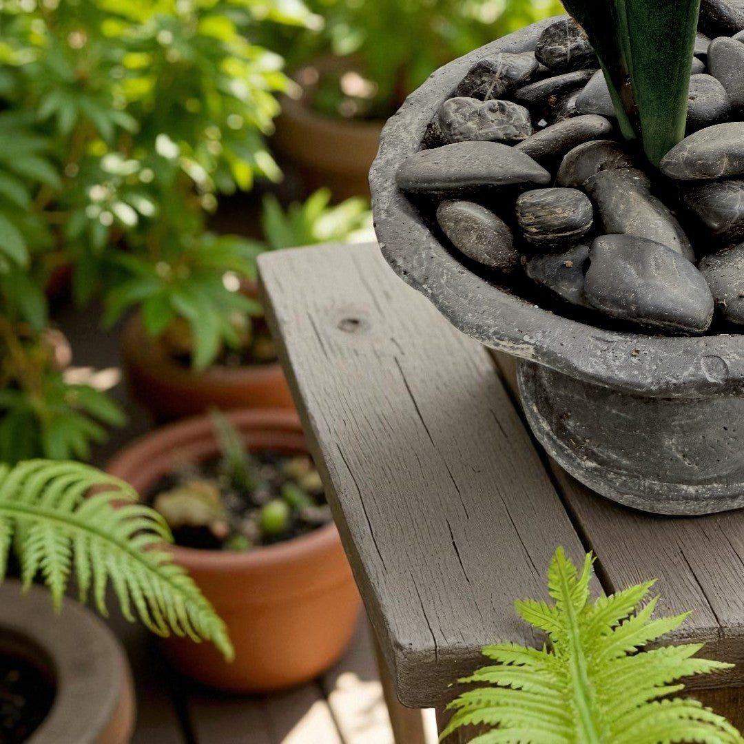 Athena, Cement Pot with Dish and Drainage Hole, hand-painted in Weathered Black, 7"D X 4.7"H