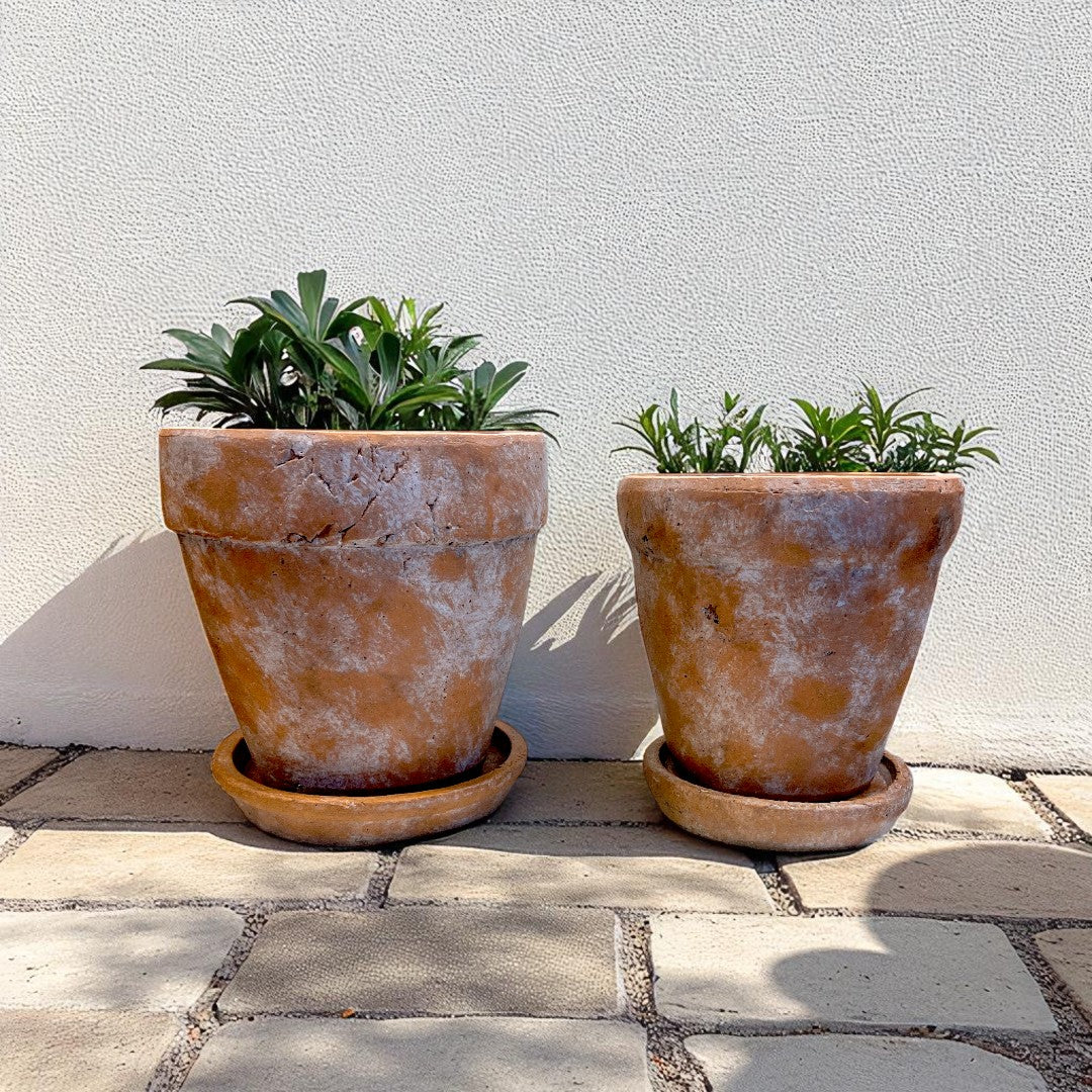 Venice Cement Planter with Dish and Drainage Hole, Handcrafted in Aged Terracotta, Medium & Large