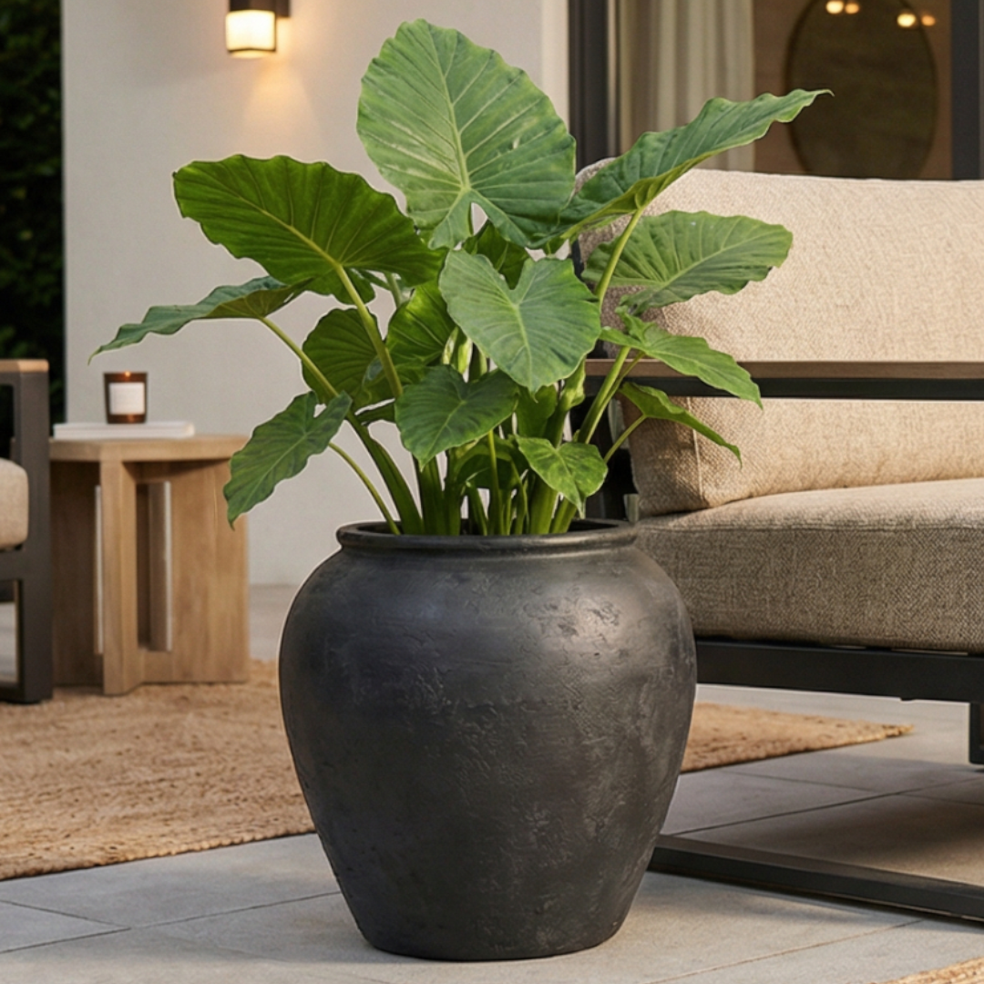 Cyprus XL,Fiber Clay Pot, Hand-painted in Weathered Black, 19.6"D x 19.6"H