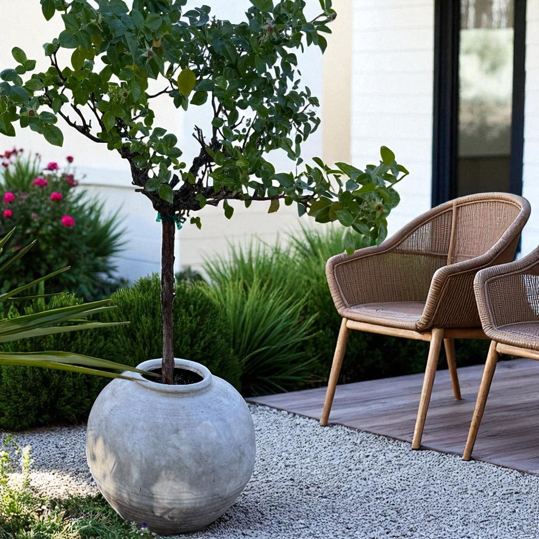 Greystone Fiber Clay Vessel in Aged White, 18.5"D x 14.4" H