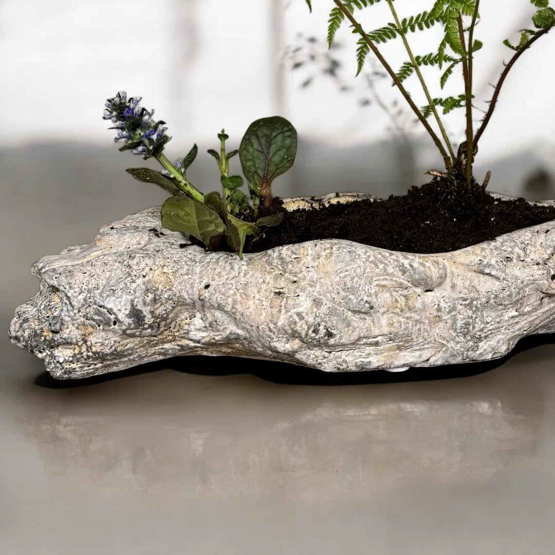 Oakes Cement Planter, Unique Driftwood-Inspired Design, 15"L x 6.5"W x 3.1"H