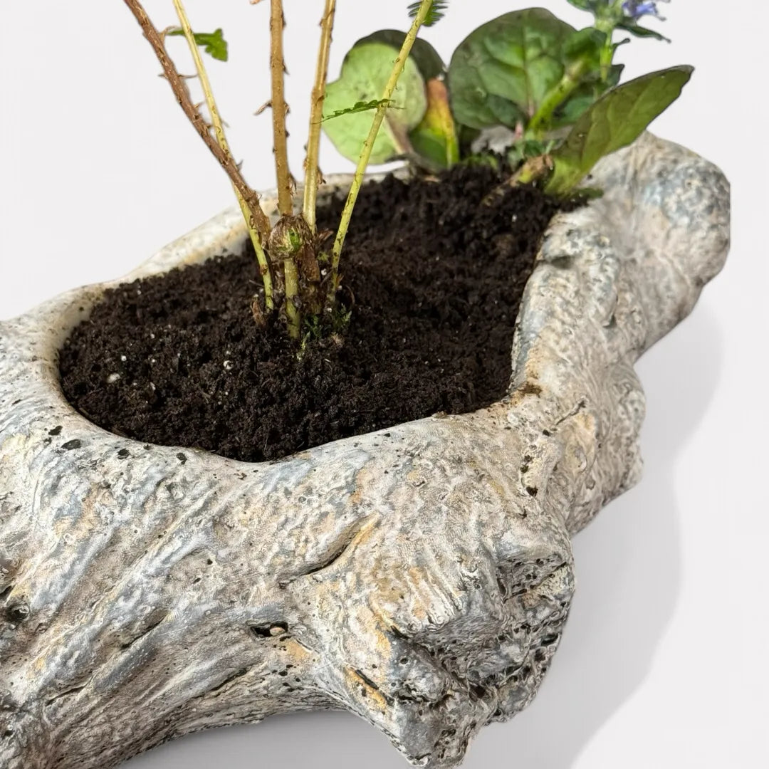 Oakes Cement Planter, Unique Driftwood-Inspired Design, 15"L x 6.5"W x 3.1"H