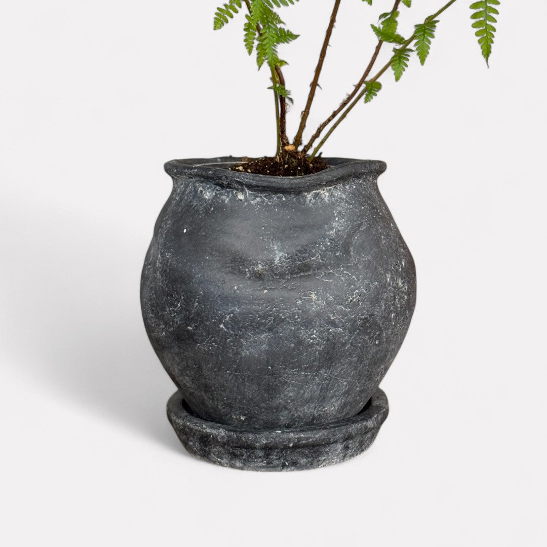 Odyssey Planter with Dish and Drainage Hole, Cement Pot, 6"D x 6.5"H