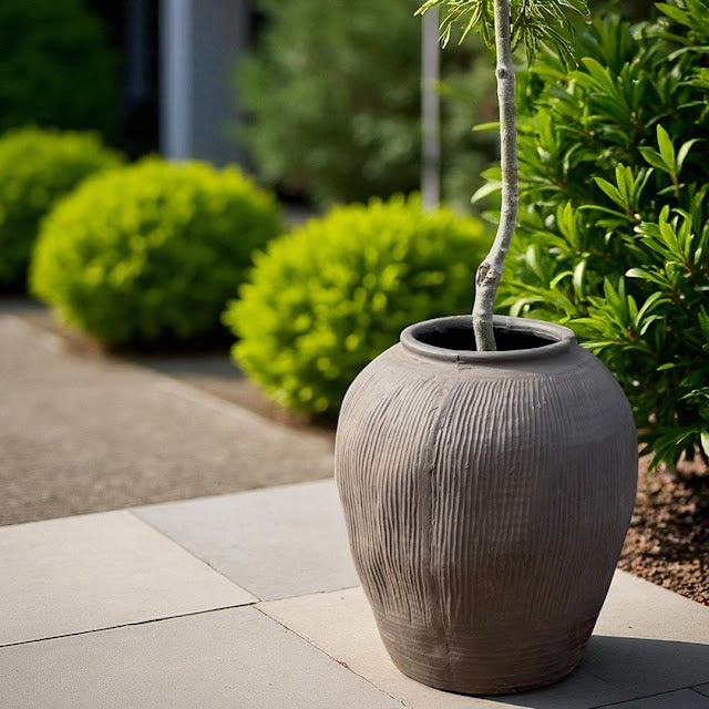 Pompeii Terranova, Fiber Clay Vessel in Antique Umber 14.1"D x 15.7"H