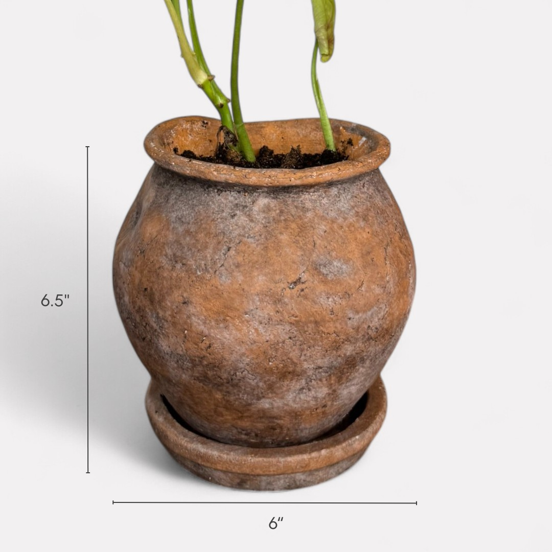Odyssey Planter with Dish, Cement Pot in Natural Terracotta, 6"D x 6.5"H