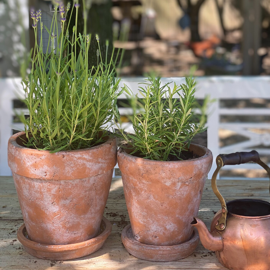 Venice Cement Planter with Dish and Drainage Hole, Handcrafted in Aged Terracotta, Large & Medium