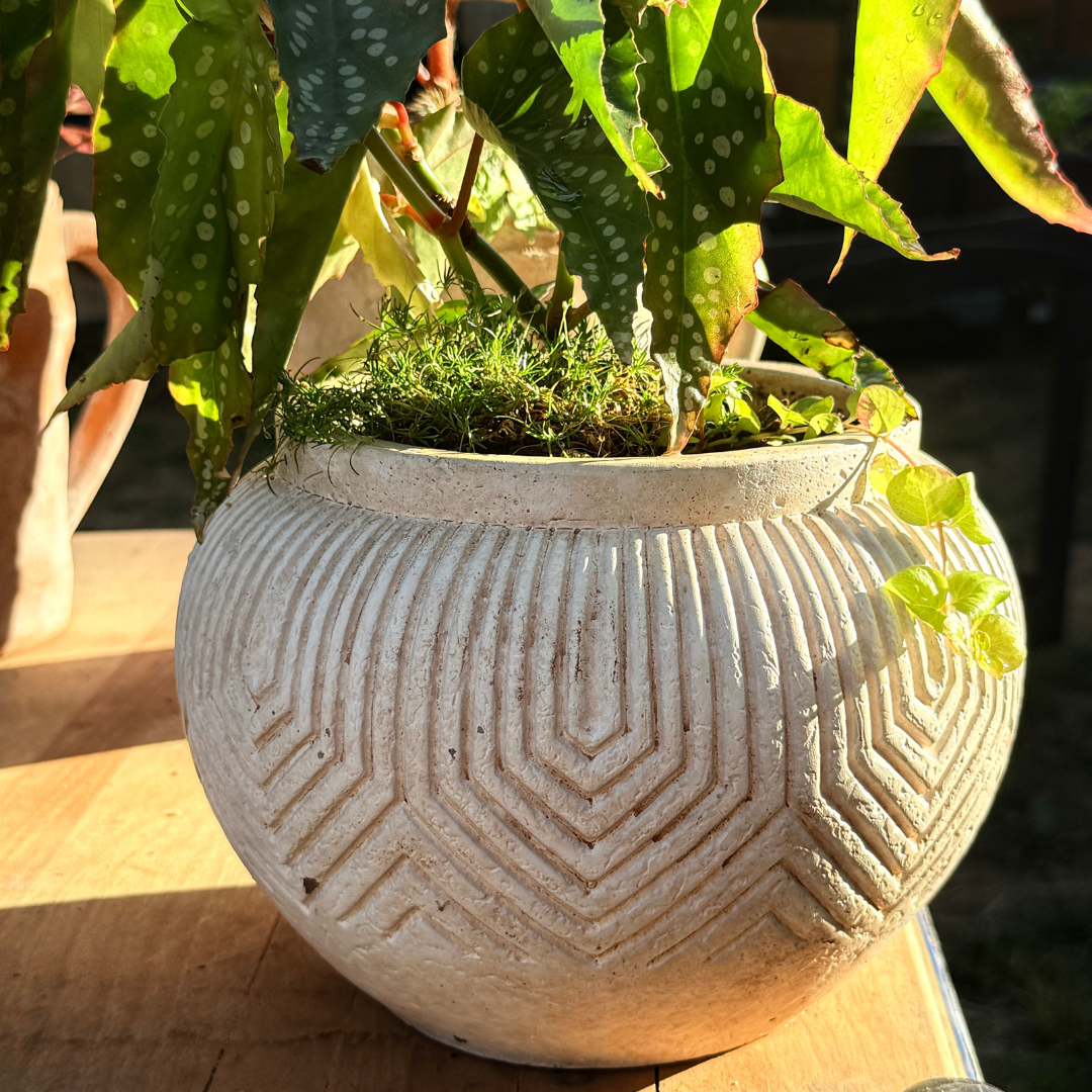 Linden Concrete Vessel in Natural Sandstone, 8"D X 6"H