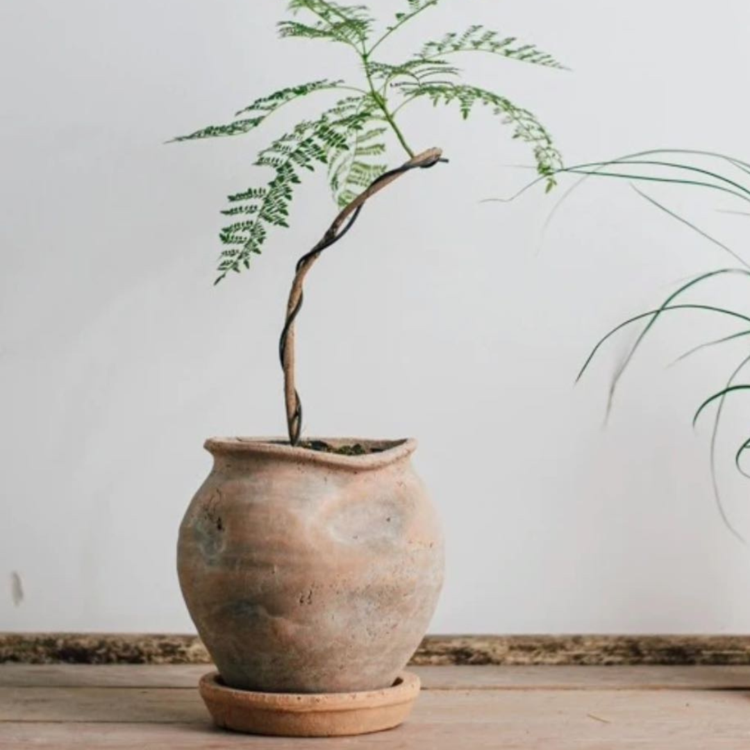 Odyssey Planter with Dish, Cement Pot in Natural Terracotta, 6"D x 6.5"H