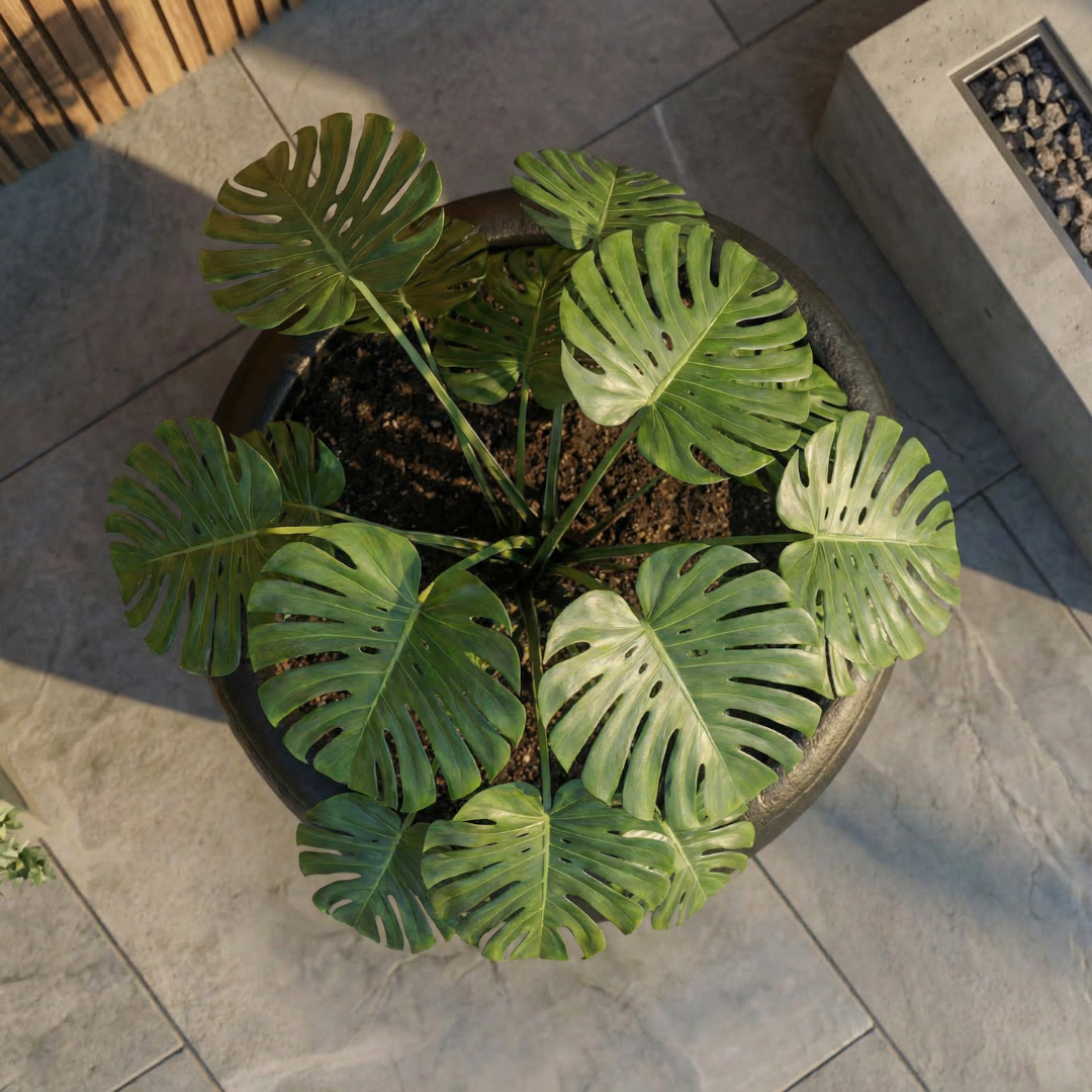 Titan XXL, Fiber Clay Pot, Hand-painted in Aged Black, 28.3"D x 17"H