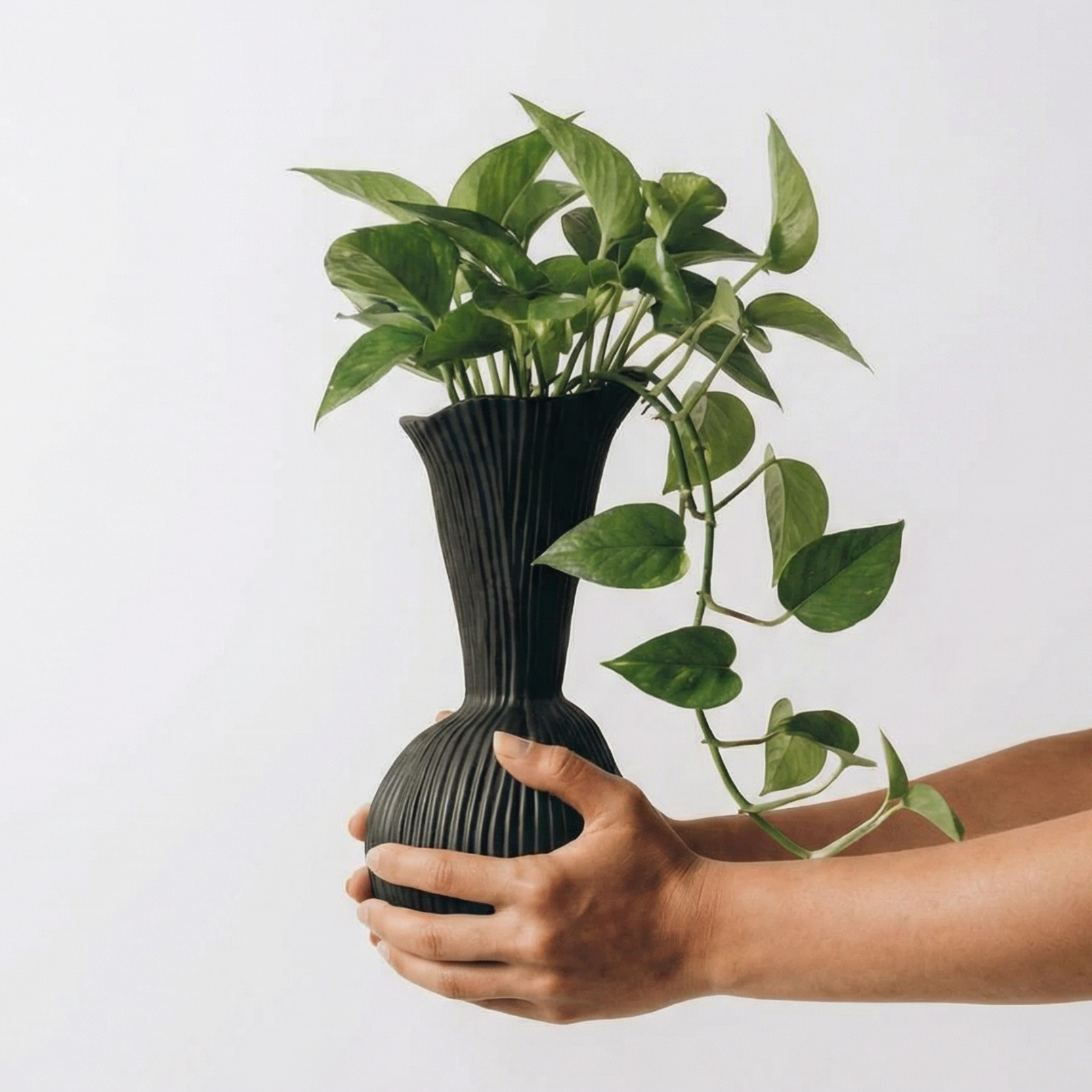 Everly Terracotta Vase, Hand-painted in Jet Black 4.7"D x 10.6" H