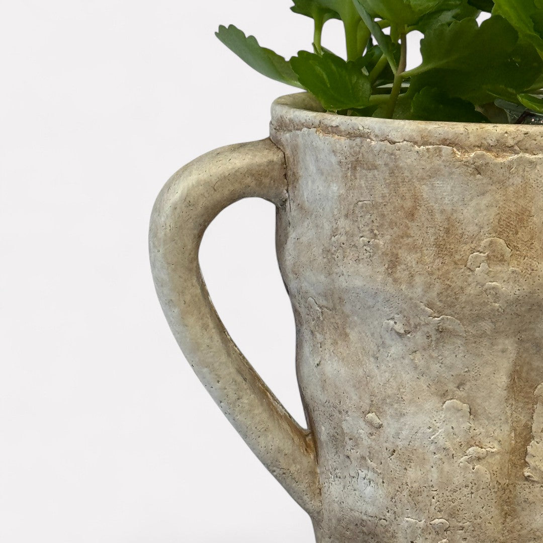 Valencia Carafe-Style Cement Planter, Hand-Painted in Aged White, 8.5"D x 7"H