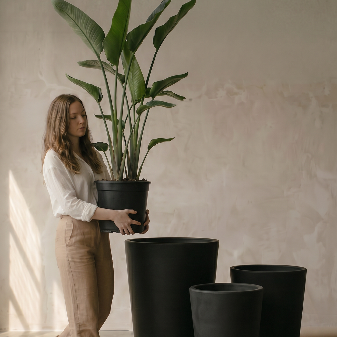 Tahiti Fiber Clay Planter, Hand-painted in Weathered Black