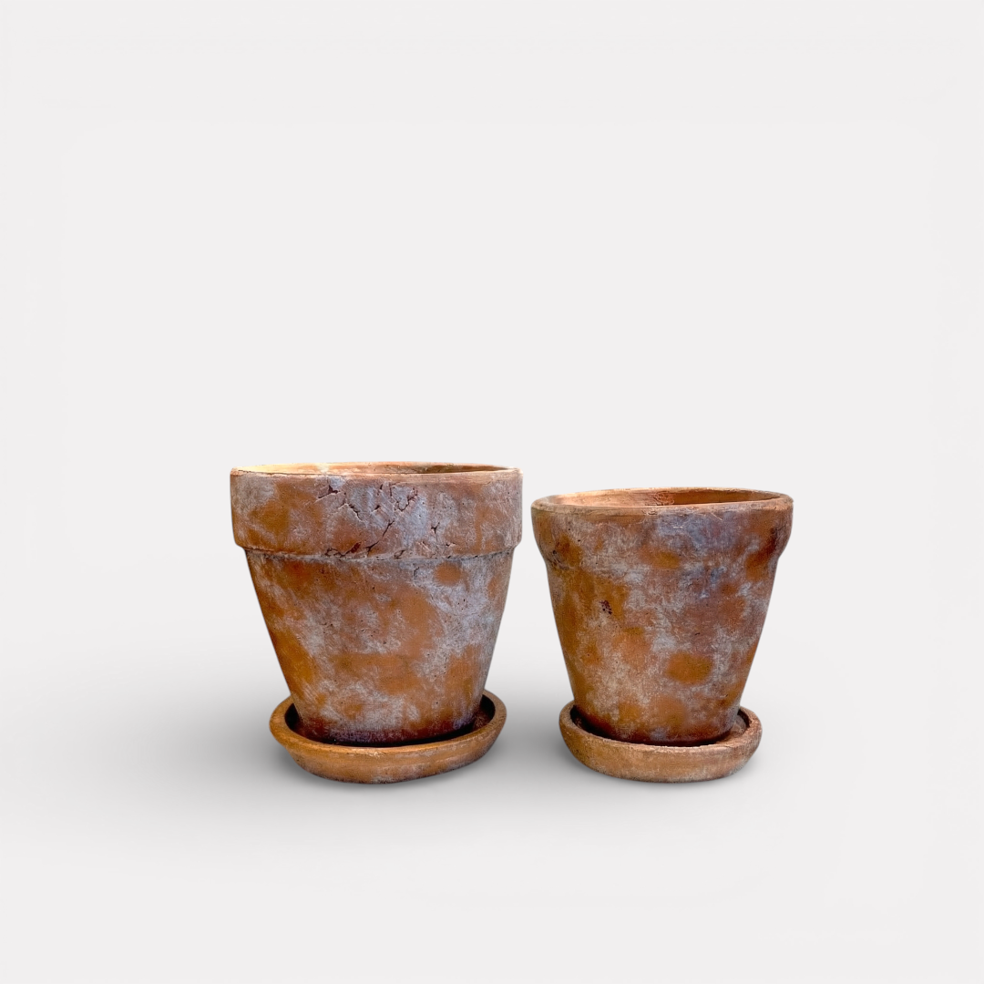 Venice Cement Planter with Dish and Drainage Hole, Handcrafted in Aged Terracotta, Medium & Large