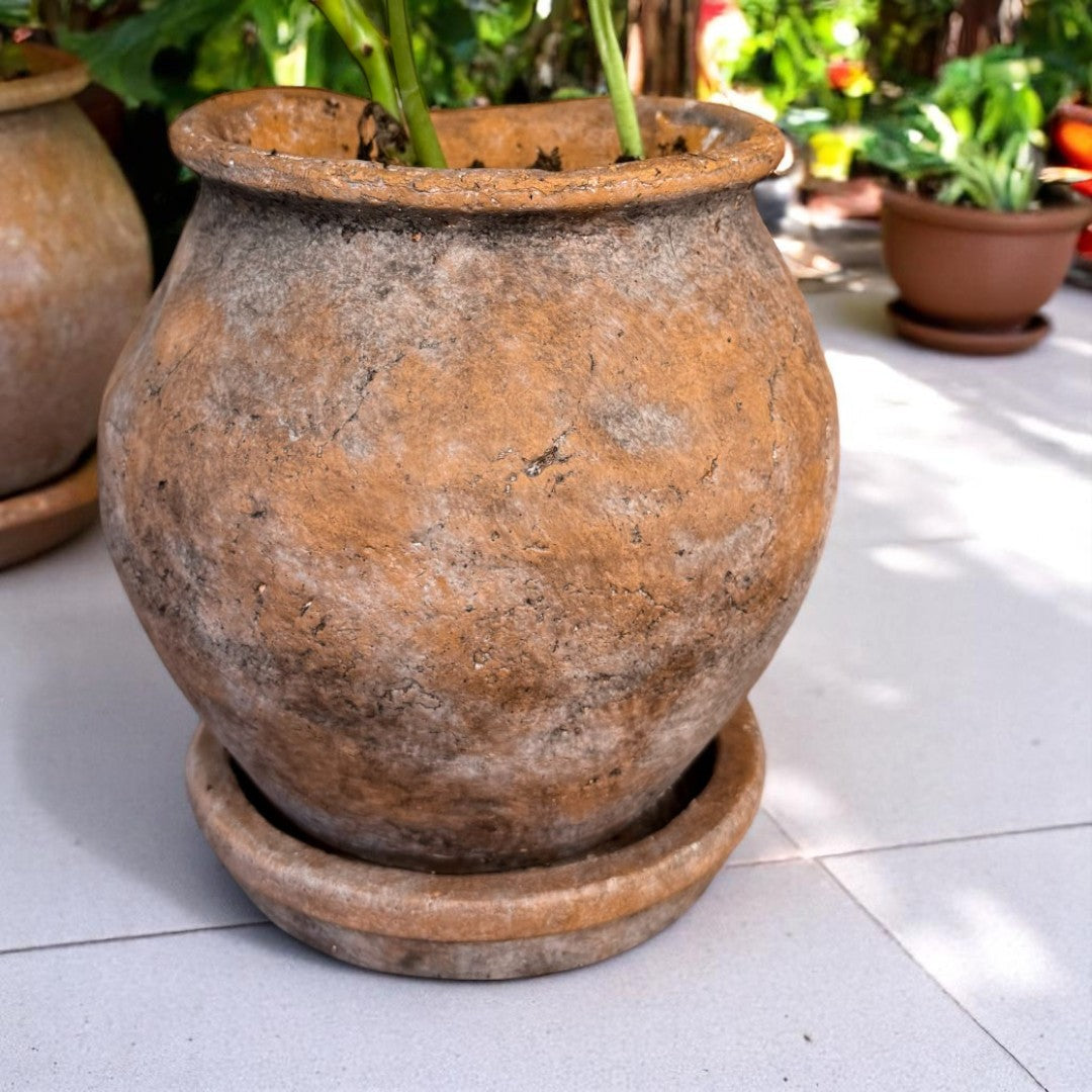 Odyssey Planter with Dish, Cement Pot in Natural Terracotta, 6"D x 6.5"H