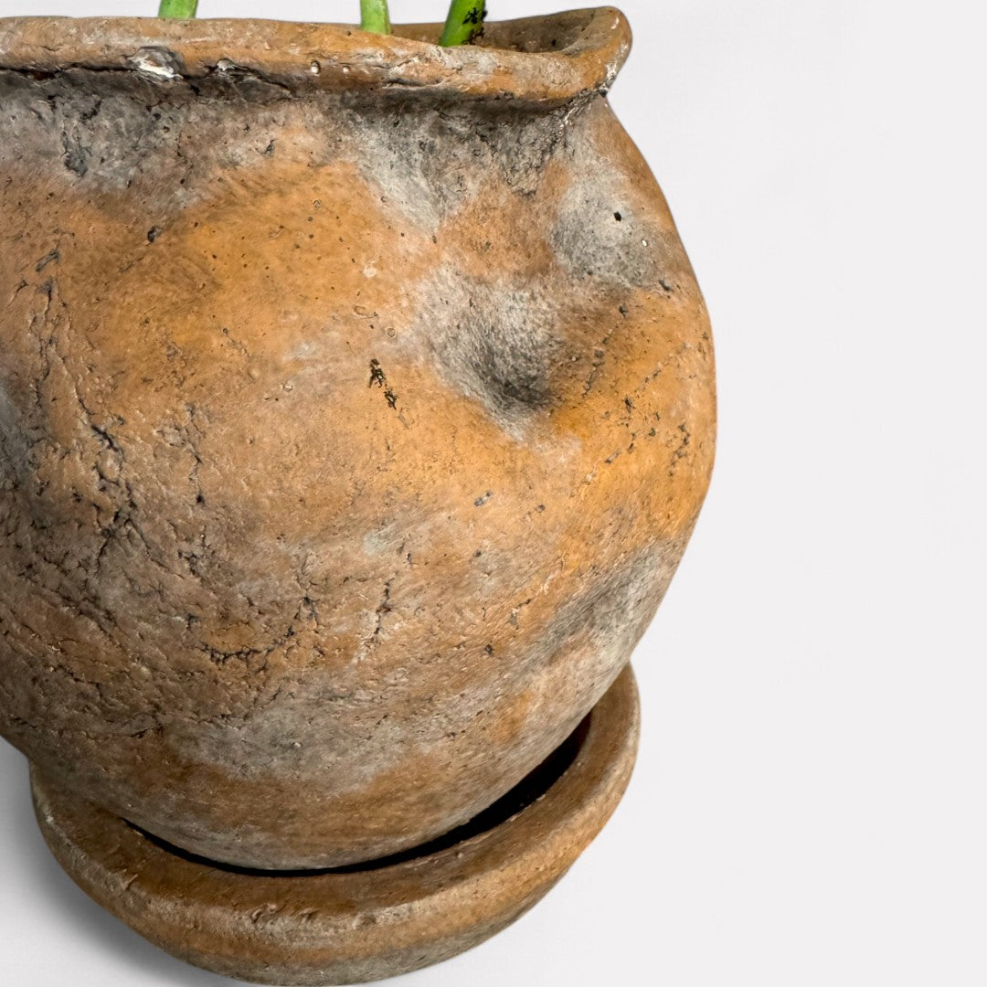 Odyssey Planter with Dish, Cement Pot in Natural Terracotta, 6"D x 6.5"H