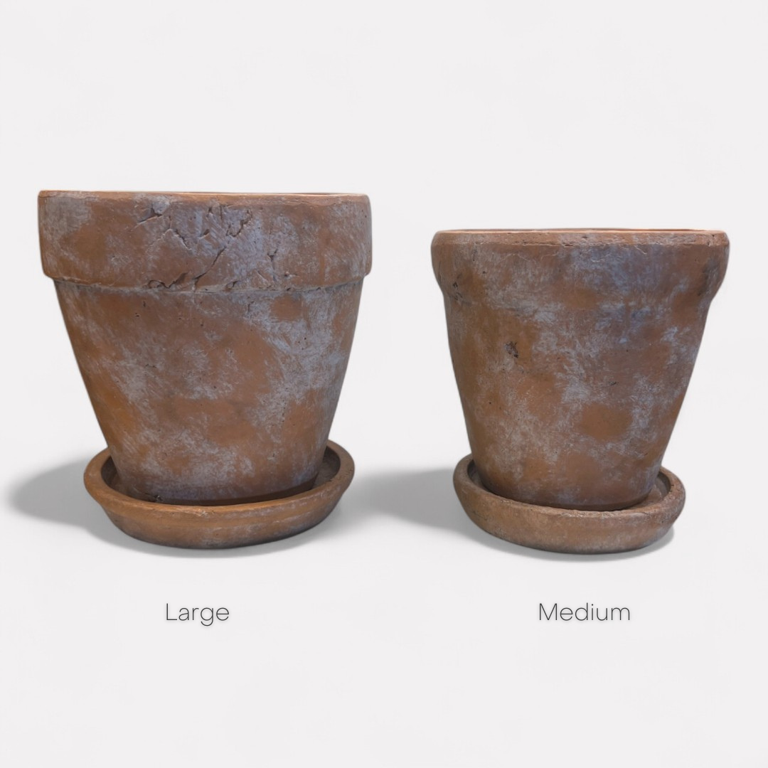 Medium Venice Cement Planter with Dish, Handcrafted in Aged Terracotta 7"D x 7"H