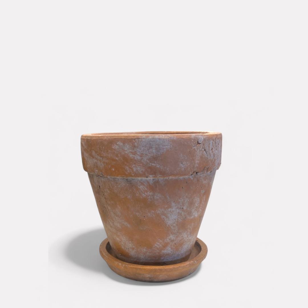Medium Venice Cement Planter with Dish, Handcrafted in Aged Terracotta 7"D x 7"H