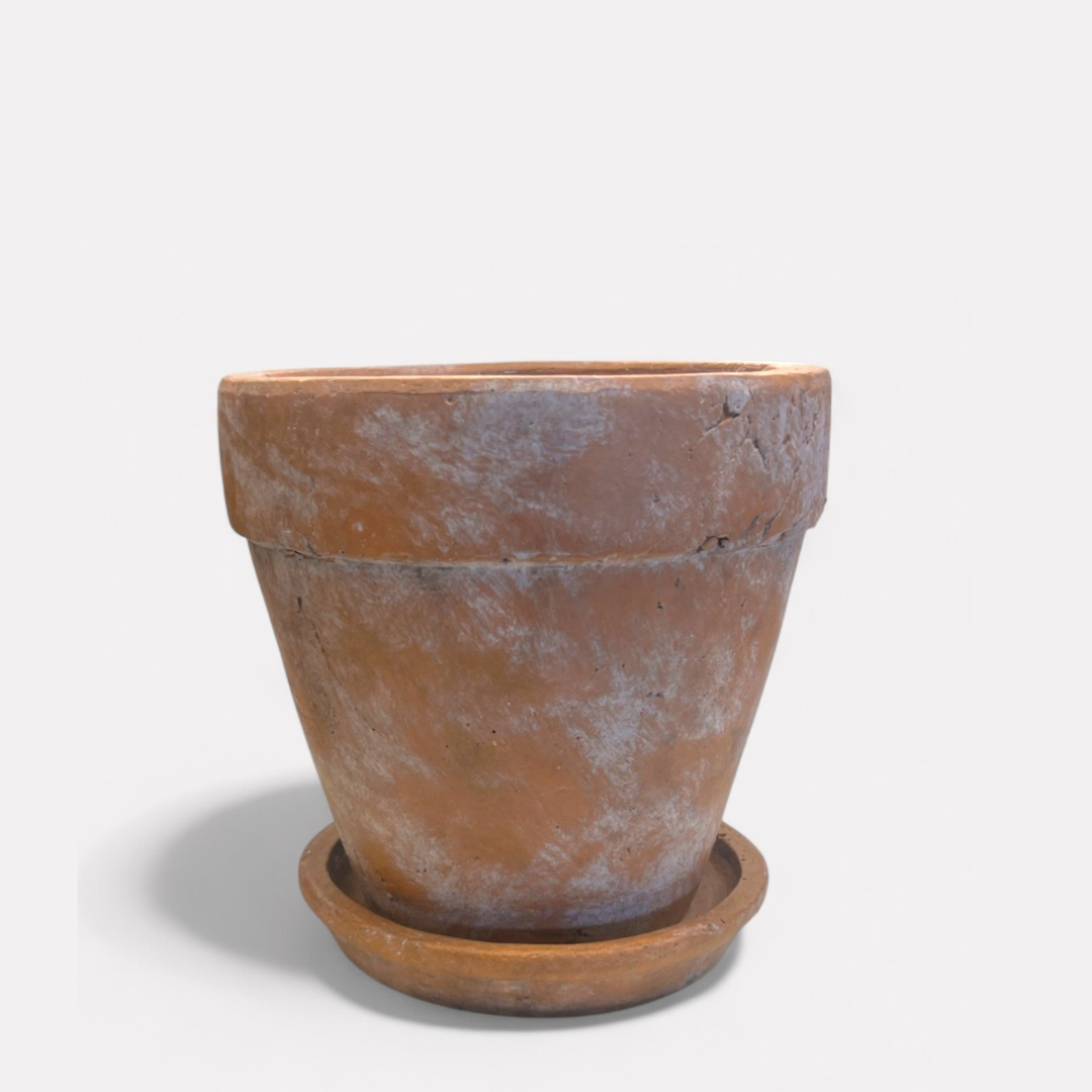 Large Venice Cement Planter with Dish, Handcrafted in Aged Terracotta 8"D x 8"H