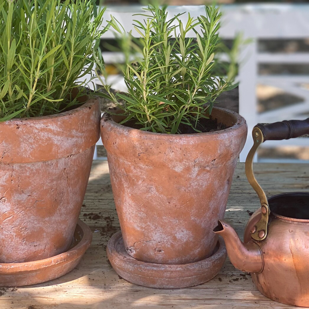Medium Venice Cement Planter with Dish, Handcrafted in Aged Terracotta 7"D x 7"H