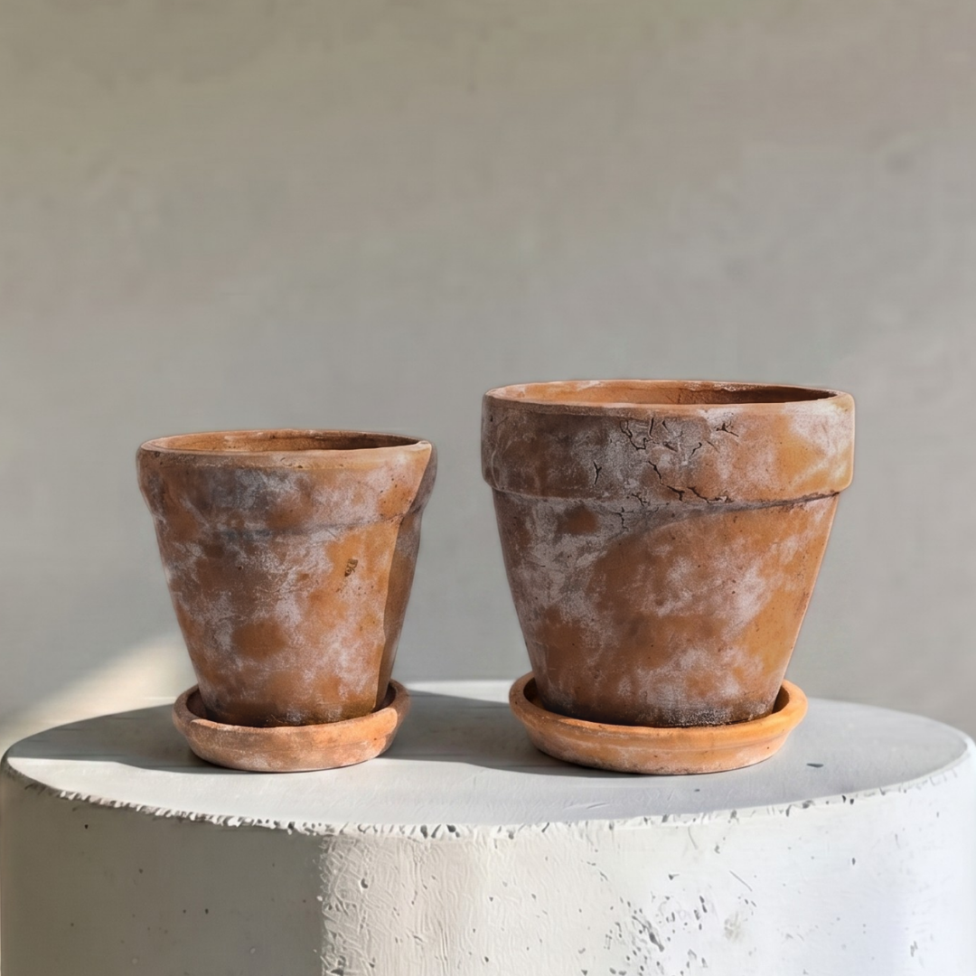 Venice Cement Planter with Dish and Drainage Hole, Handcrafted in Aged Terracotta, Large & Medium