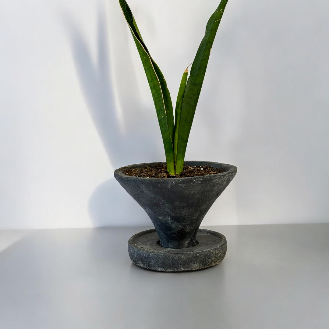 Athena Cement Pot with Dish, hand-painted in Weathered Black, 7"D x 4.7"H