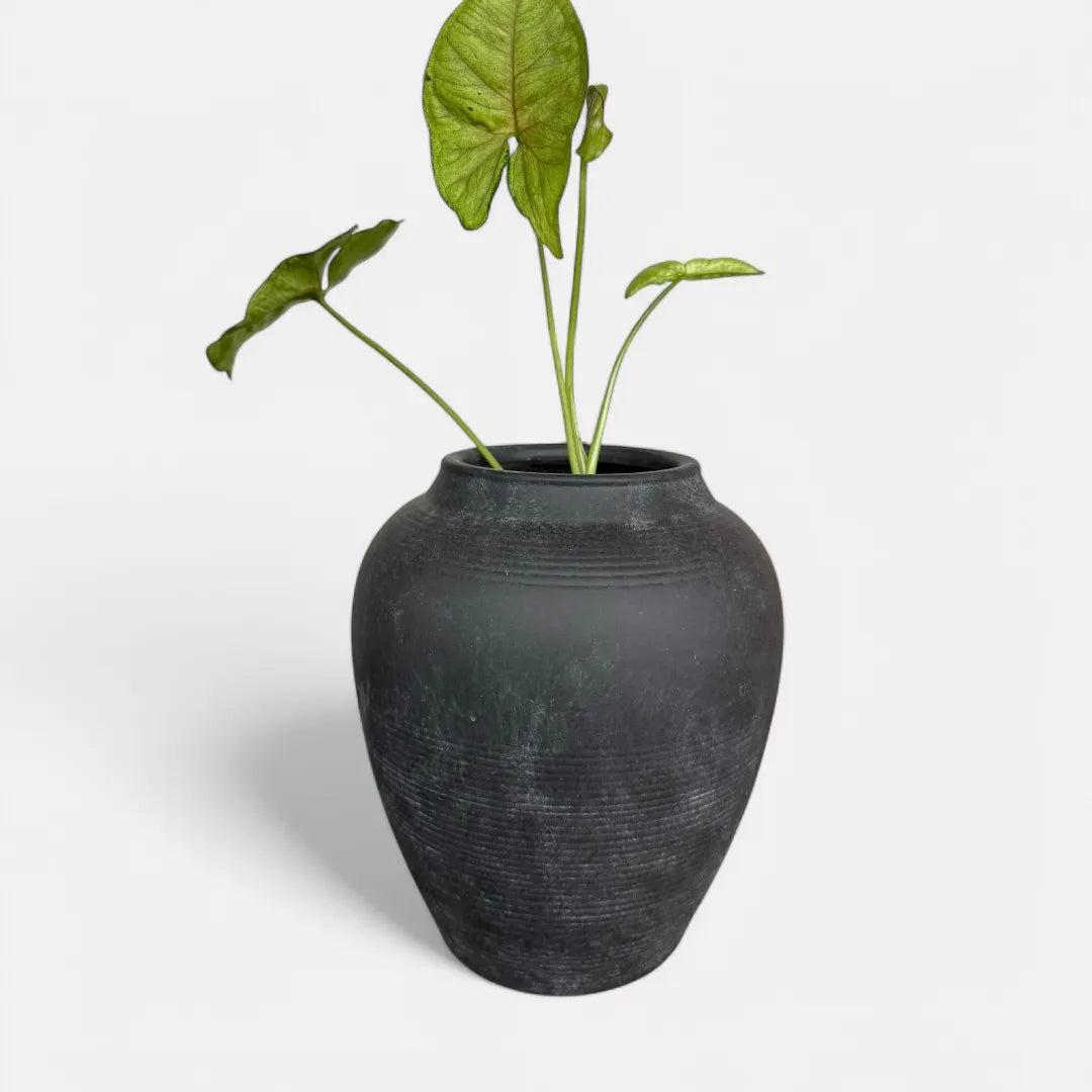 Heritage Classic Terracotta Vessel - Hand-Painted in Weathered Black, 7.8"D x 9.4"H