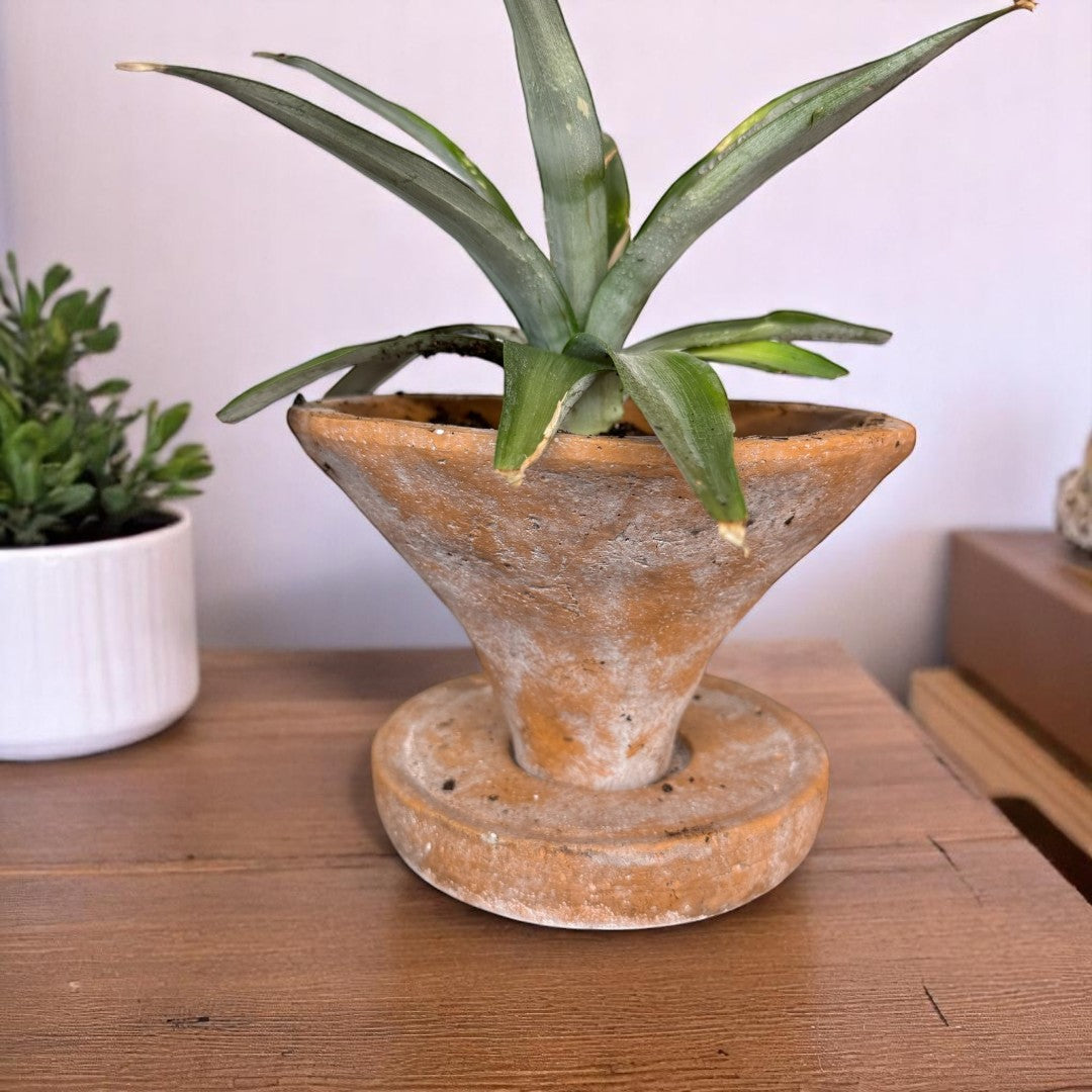 Athena Cement Pot with Dish, hand-painted in Aged Terracotta, 7"D x 4.7"H
