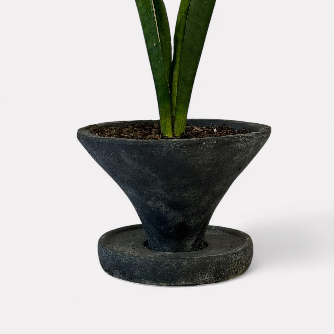 Athena Cement Pot with Dish, hand-painted in Weathered Black, 7"D x 4.7"H