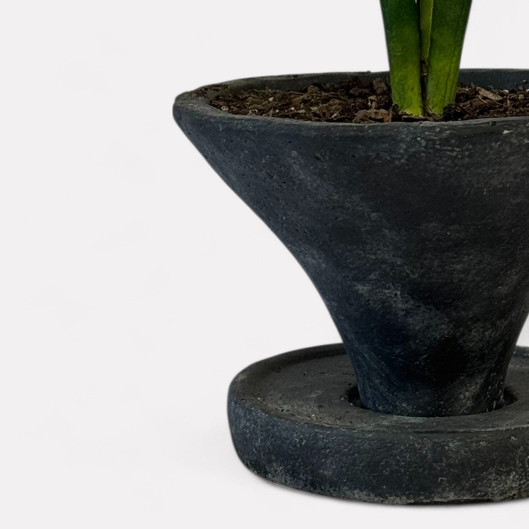 Athena Cement Pot with Dish, hand-painted in Weathered Black, 7"D x 4.7"H
