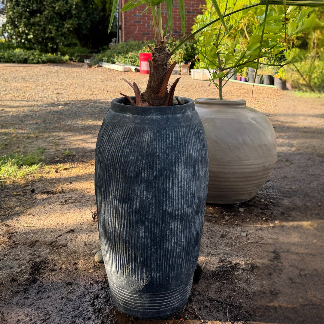 Pompeii Colossus, Fiber Clay Vessel in Weathered Black 11"D x 20"H