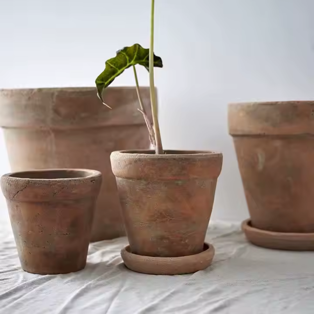 Large Venice Cement Planter with Dish, Handcrafted in Aged Terracotta 8"D x 8"H
