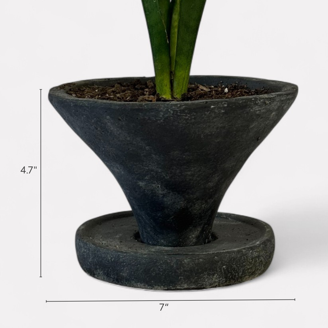 Athena Cement Pot with Dish, hand-painted in Weathered Black, 7"D x 4.7"H