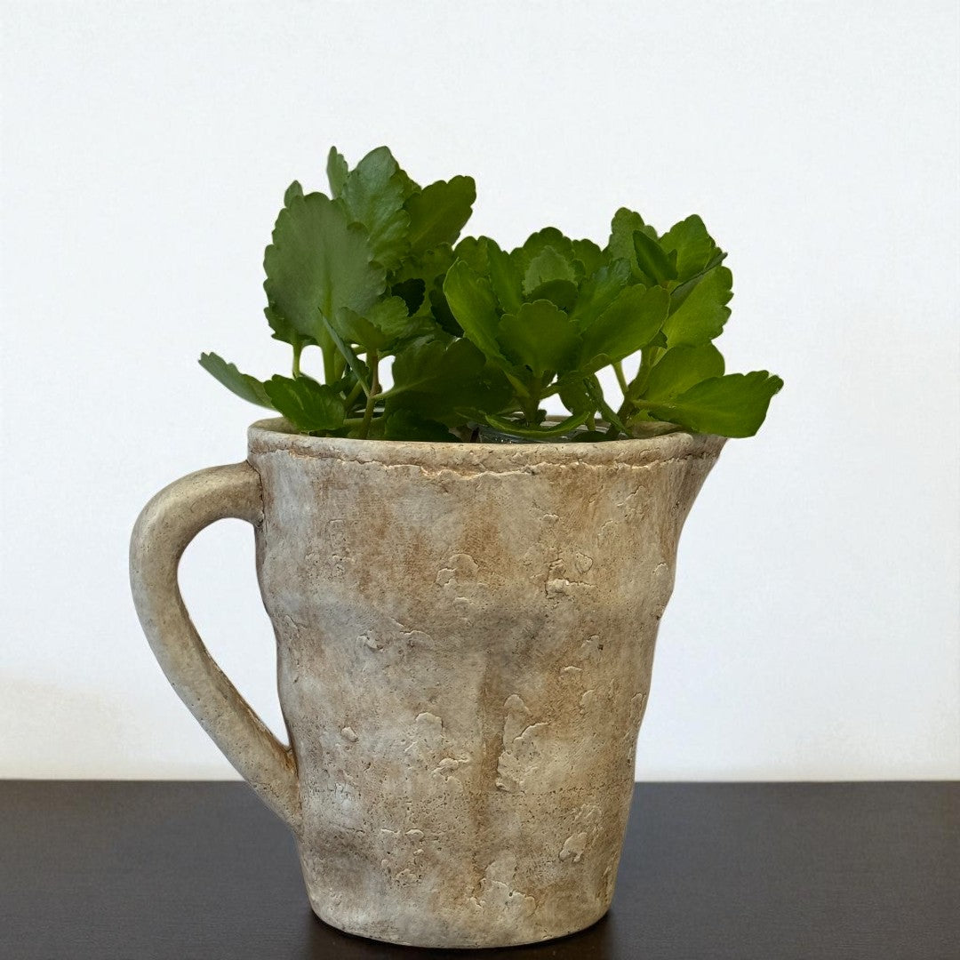 Valencia Carafe-Style Cement Planter, Hand-Painted in Aged White, 6"D x 8.9"H