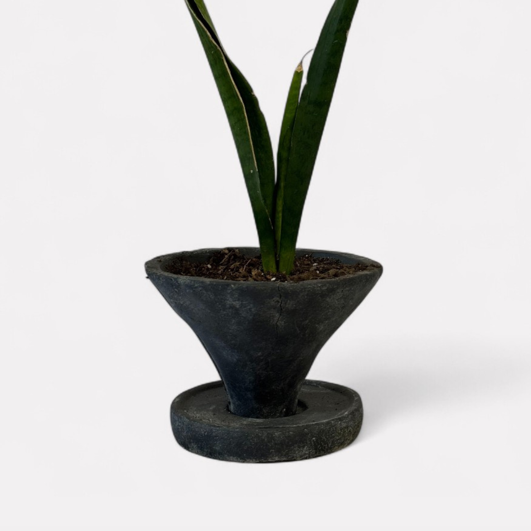 Athena Cement Pot with Dish, hand-painted in Weathered Black, 7"D x 4.7"H
